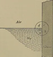 Picture 213 of 217 from Household physics (1919), leaf 286
