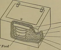 Picture 24 of 217 from Household physics (1919), leaf 54