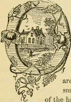 An illustration from The house, a manual of rural architecture, or, How to build country houses and out-buildings : embracing the origin and meaning of the house ; the art of house-building, including planning, style and construction ; desings and descriptions of cottages farm-houses, villas and out-buildings, of various cost and in the different styles of architecture, etc., etc. ; and an appendix containing recipes for paints and washes, stucco, rough-cast, etc. ; and instructions for roofing, building with rough stone, unburnt brick, balloon frames, and the concrete or gravel wall ; with numerous original plans (1866)
