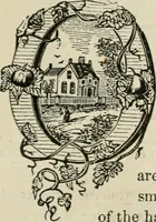 An illustration from The house: a manual of rural architecture: or, How to build country houses and out-buildings .. (1866)