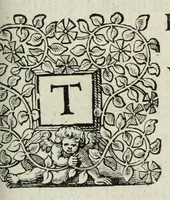 Picture 17 of 21 from Houwelyck, dat is, De gansche gelegtheydt des echten staets (1625), leaf 563