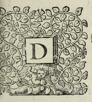 Picture 19 of 21 from Houwelyck, dat is, De gansche gelegtheydt des echten staets (1625), leaf 647