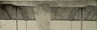 Picture 98 of 178 from How it flies; (1910), leaf 207