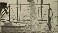 An illustration from How it flies; (1910)