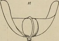 Picture 108 of 178 from How it flies; (1910), leaf 224