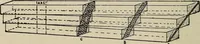 Picture 115 of 178 from How it flies; (1910), leaf 239
