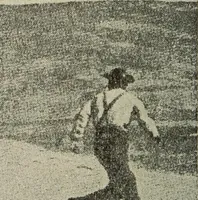Picture 123 of 178 from How it flies; (1910), leaf 255