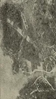 Picture 131 of 178 from How it flies; (1910), leaf 291