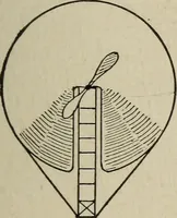 Picture 144 of 178 from How it flies; (1910), leaf 314