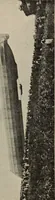 Picture 153 of 178 from How it flies; (1910), leaf 330