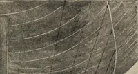 Picture 163 of 178 from How it flies; (1910), leaf 366