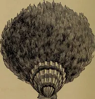 An illustration from How? or, Spare hours made profitable for boys and girls (1887)