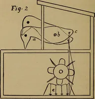An illustration from How? or, Spare hours made profitable for boys and girls (1887)