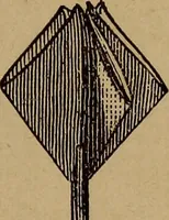 An illustration from How? or, Spare hours made profitable for boys and girls (1887)