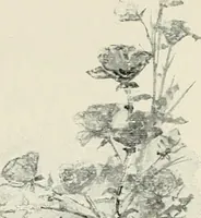An illustration from How Paris amuses itself; (1903)