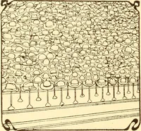 Picture 115 of 426 from How to advertise a retail store, including mail order advertising and general advertising; a complete comprehensive manual for promoting publicity (1908), leaf 203