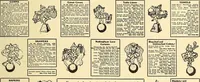 Picture 147 of 426 from How to advertise a retail store, including mail order advertising and general advertising; a complete comprehensive manual for promoting publicity (1908), leaf 256