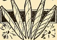 Picture 199 of 426 from How to advertise a retail store, including mail order advertising and general advertising; a complete comprehensive manual for promoting publicity (1908), leaf 288