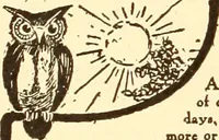 Picture 285 of 426 from How to advertise a retail store, including mail order advertising and general advertising; a complete comprehensive manual for promoting publicity (1908), leaf 329