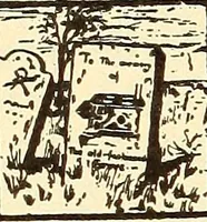 Picture 301 of 426 from How to advertise a retail store, including mail order advertising and general advertising; a complete comprehensive manual for promoting publicity (1908), leaf 337