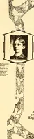 Picture 358 of 426 from How to advertise a retail store, including mail order advertising and general advertising; a complete comprehensive manual for promoting publicity (1908), leaf 363