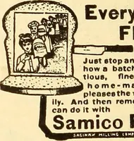 Picture 394 of 426 from How to advertise a retail store, including mail order advertising and general advertising; a complete comprehensive manual for promoting publicity (1908), leaf 397