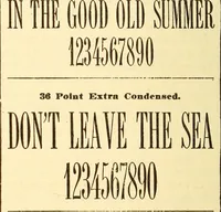 Picture 406 of 426 from How to advertise a retail store, including mail order advertising and general advertising; a complete comprehensive manual for promoting publicity (1908), leaf 421