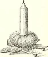 An illustration from How to amuse yourself and others. The American girl's handy book (1887)