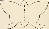 An illustration from How to amuse yourself and others. The American girl's handy book (1887)