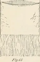 An illustration from How to amuse yourself and others. The American girl's handy book (1887)