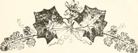 An illustration from How to amuse yourself and others. The American girl's handy book (1887)