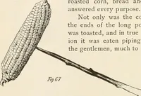 An illustration from How to amuse yourself and others. The American girl's handy book (1887)