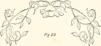 An illustration from How to amuse yourself and others. The American girl's handy book (1887)