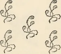 An illustration from How to amuse yourself and others. The American girl's handy book (1887)