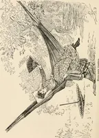 An illustration from How to amuse yourself and others. The American girl's handy book (1887)