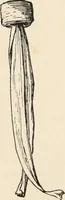 An illustration from How to amuse yourself and others. The American girl's handy book (1887)