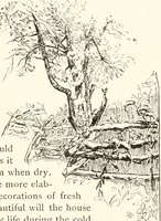 An illustration from How to amuse yourself and others. The American girl's handy book (1887)