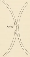 An illustration from How to amuse yourself and others. The American girl's handy book (1887)