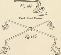An illustration from How to amuse yourself and others. The American girl's handy book (1887)