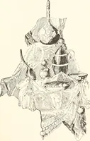 An illustration from How to amuse yourself and others. The American girl's handy book (1887)