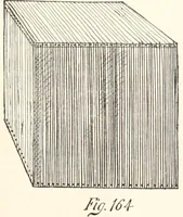 An illustration from How to amuse yourself and others. The American girl's handy book (1887)