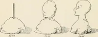 An illustration from How to amuse yourself and others. The American girl's handy book (1887)