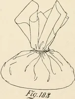 An illustration from How to amuse yourself and others. The American girl's handy book (1887)