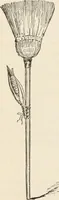 An illustration from How to amuse yourself and others. The American girl's handy book (1887)