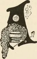 An illustration from How to amuse yourself and others. The American girl's handy book (1887)