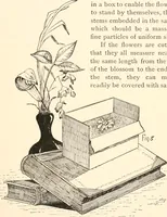 An illustration from How to amuse yourself and others. The American girl's handy book (1887)