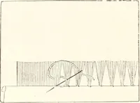An illustration from How to amuse yourself and others. The American girl's handy book (1887)