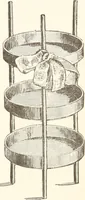 An illustration from How to amuse yourself and others. The American girl's handy book (1887)