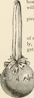 An illustration from How to amuse yourself and others. The American girl's handy book (1887)