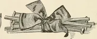 An illustration from How to amuse yourself and others. The American girl's handy book (1887)